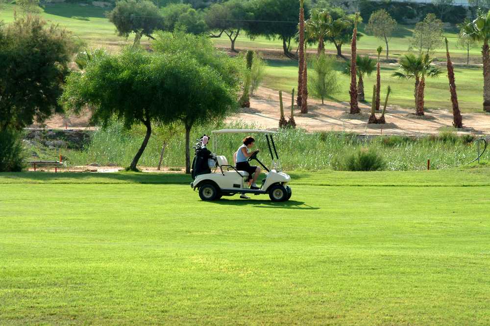 can you drive a golf cart on the road